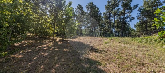 3 غرف نوم منزل في Chaves, Portugal رقم 186239 6