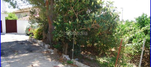 Дом с 3 спальнями в Аликанте, Испания № 31563 11