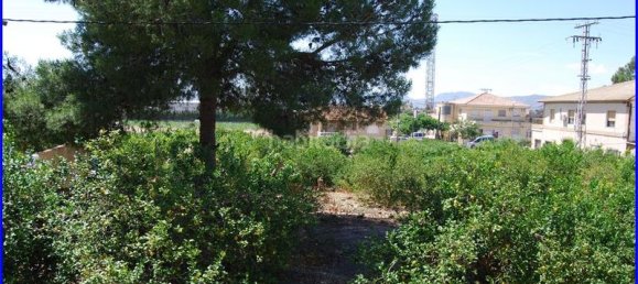 Дом с 3 спальнями в Аликанте, Испания № 31563 5