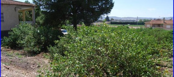 Дом с 3 спальнями в Аликанте, Испания № 31563 4