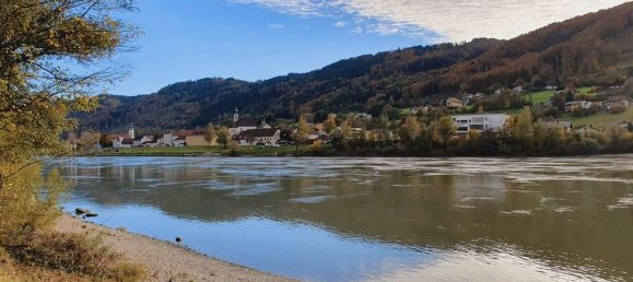 8 rooms House in Engelhartszell, Austria No. 171662 20