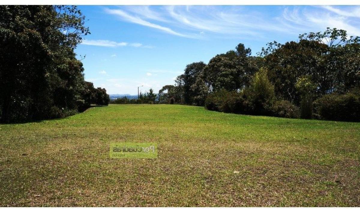 Terreno en Antioquia, Colombia No. 250