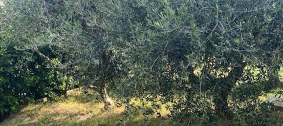 5-Zimmer Wohnung in Monsano, Italy, Nr. 184477 15