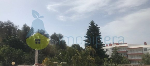 Casa de 3 dormitorios en Sao Bartolomeu de Messines, Portugal No. 110059 4