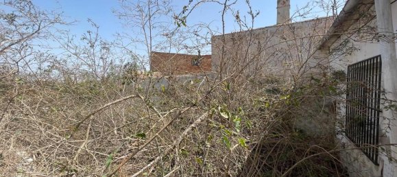 4 bedrooms Townhouse in Benijofar, Spain No. 13142 15