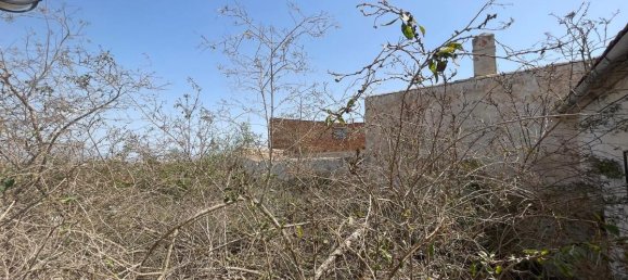 4 bedrooms Townhouse in Benijofar, Spain No. 13142 16