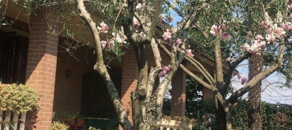 4-Zimmer Haus in Spilamberto, Italy, Nr. 98184 14