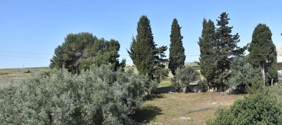 5-Zimmer Villa in Rosolini, Italy, Nr. 234902 20