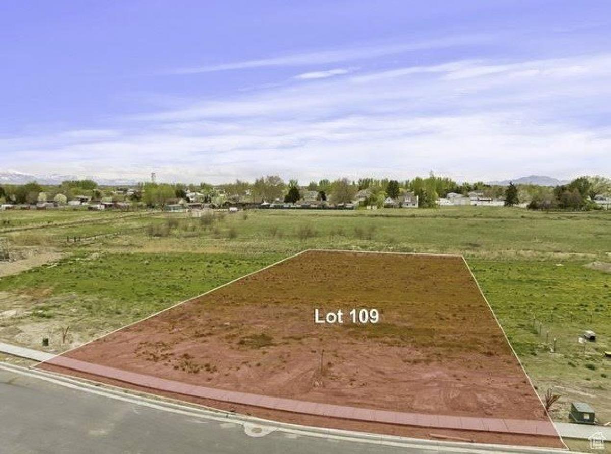  Land in Hooper, USA No. 481617