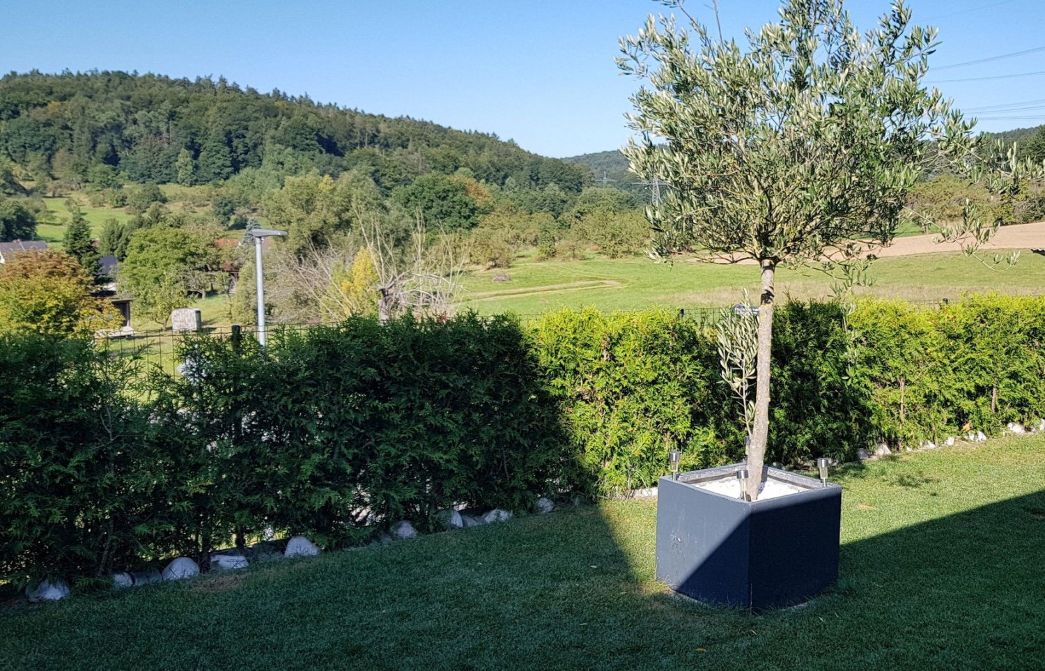 5 rooms House in Aschaffenburg, Germany No. 277912