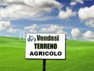 Земельный участок 2200м² в Сан Джулиано Терме, Италия № 14519