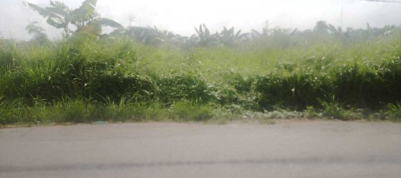  Land in Serang City, Indonesia No. 1216 5