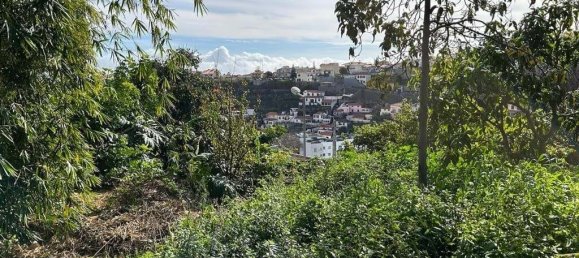 Terreno em Funchal, Portugal N.º 146068 17