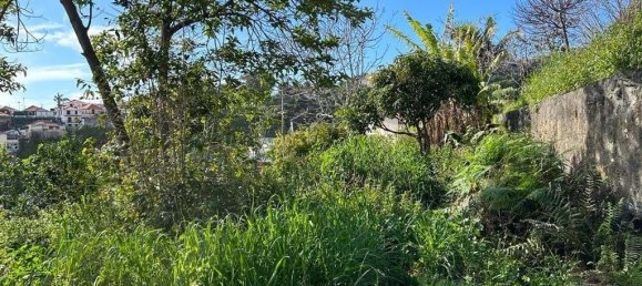 Terreno em Funchal, Portugal N.º 146068 18