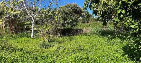 Terreno em Funchal, Portugal N.º 146068 20