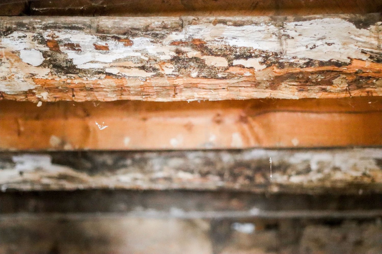 3 rooms House in Essen, Germany No. 9280