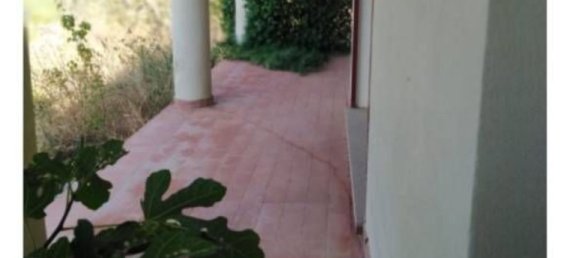 3 rooms Apartment in Telti, Italy No. 289354 11