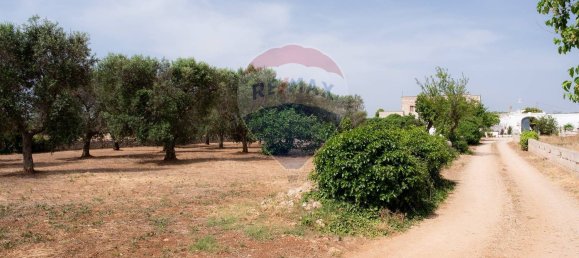 4غرفة منزل في Brindisi, Italy رقم 223159 2