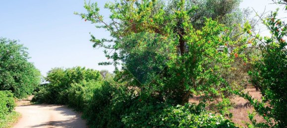 4غرفة منزل في Brindisi, Italy رقم 223159 22