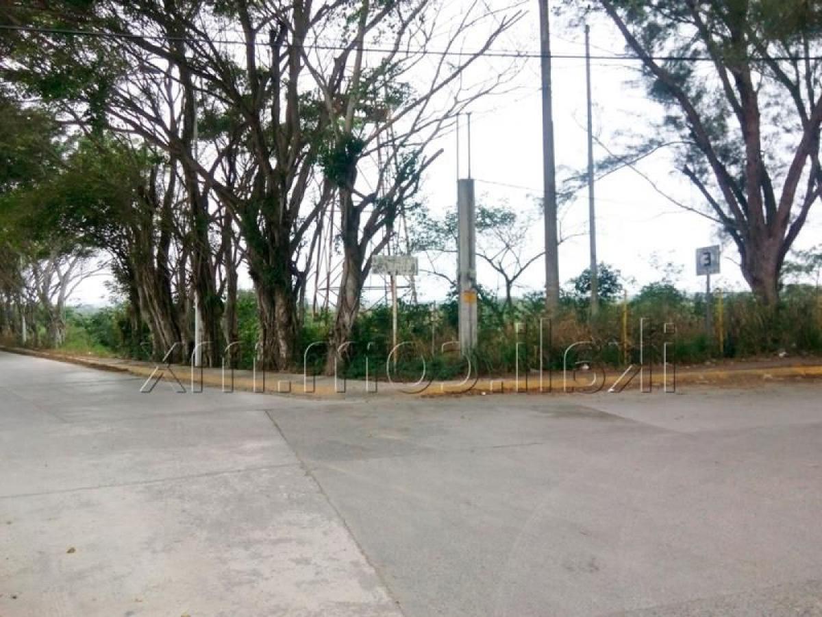  Land in Veracruz, Mexico No. 203663