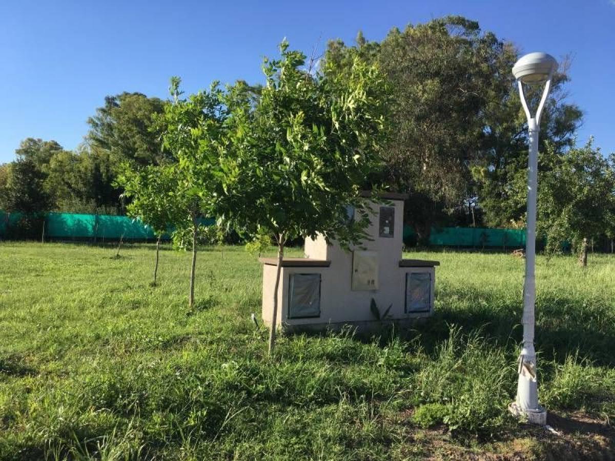  قطعة أرض في Campo Creado, Argentina رقم 39774