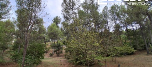 4 غرف نوم منزل في Occitanie, France رقم 343592 4