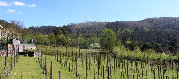 4 bedrooms House in Rossas, Portugal No. 34448 41