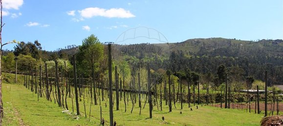 4 bedrooms House in Rossas, Portugal No. 34448 35