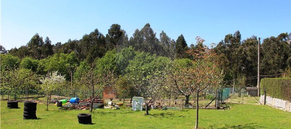 4 bedrooms House in Rossas, Portugal No. 34448 28