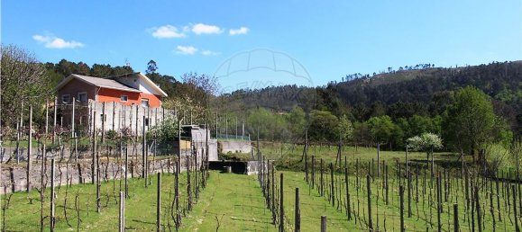 4 bedrooms House in Rossas, Portugal No. 34448 40