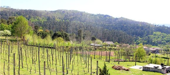 4 bedrooms House in Rossas, Portugal No. 34448 42