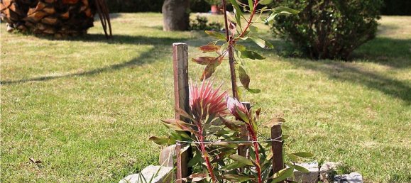 4 bedrooms House in Rossas, Portugal No. 34448 33