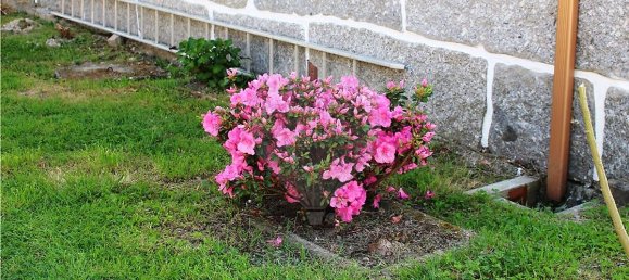 4 bedrooms House in Rossas, Portugal No. 34448 23