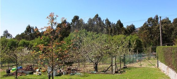 4 bedrooms House in Rossas, Portugal No. 34448 30