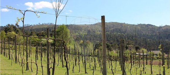 4 bedrooms House in Rossas, Portugal No. 34448 34