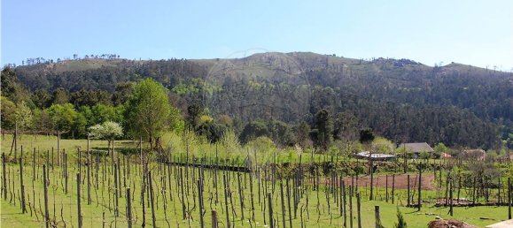 4 bedrooms House in Rossas, Portugal No. 34448 39