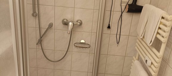 1 غرف نوم شقة في Passau, Germany رقم 317844 10