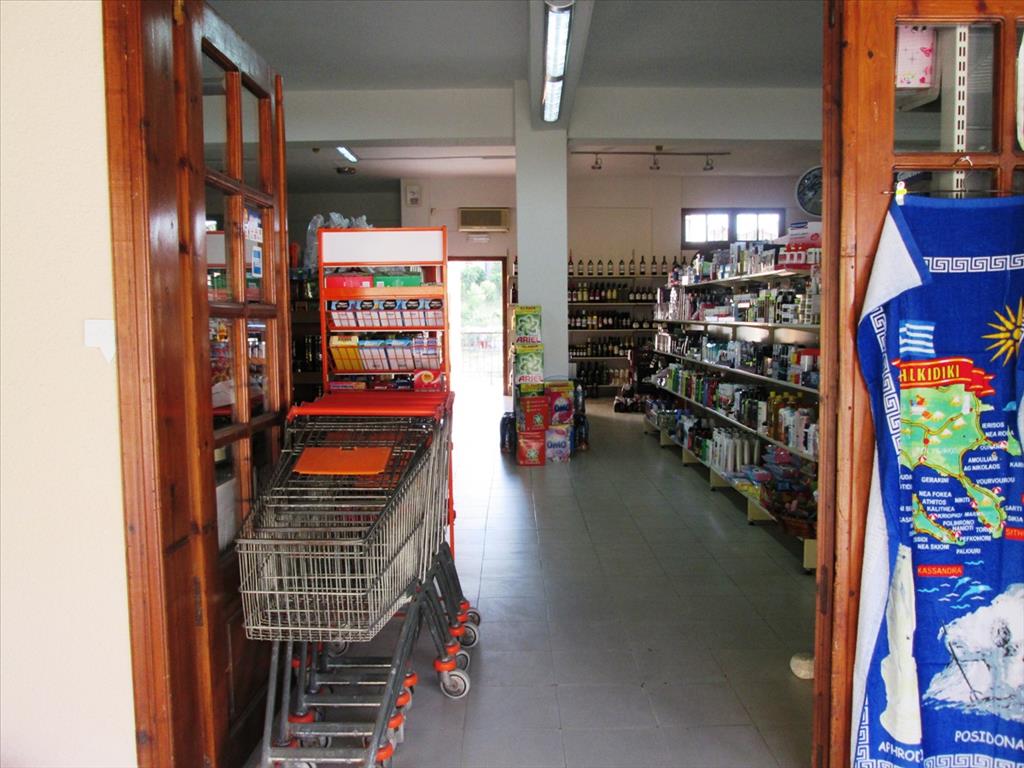 470m² Property in Chalkidiki, Greece No. 7783