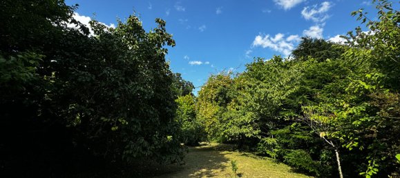 5 bedrooms House in Noailles, France No. 80074 5