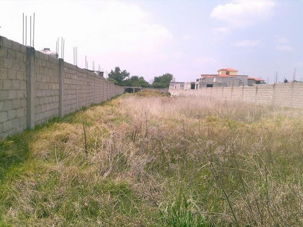  Land in Zinacantepec, Mexico No. 206536