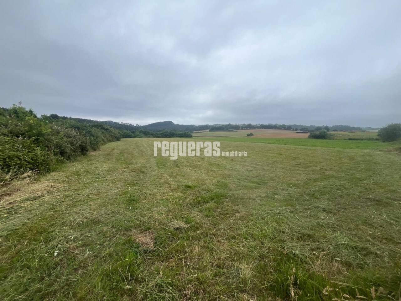  قطعة أرض في Asturias, Spain 1940متر مربع رقم 156110