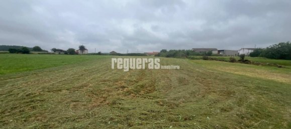  قطعة أرض في Asturias, Spain 1940متر مربع رقم 156110 2