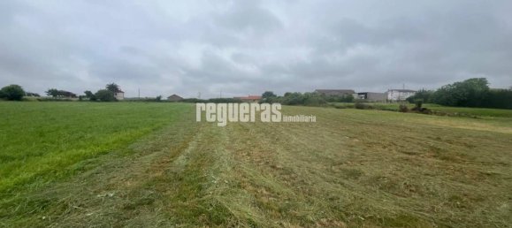  قطعة أرض في Asturias, Spain 1940متر مربع رقم 156110 3