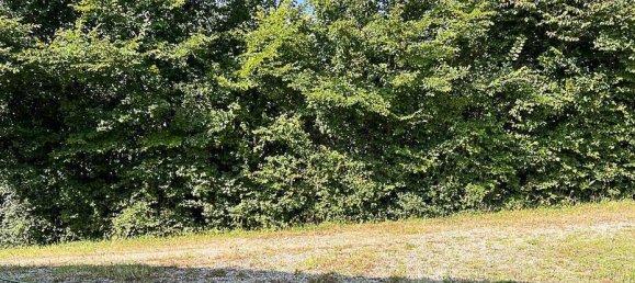 2 chambres Maison à Montepulciano, Italy No. 350458 5