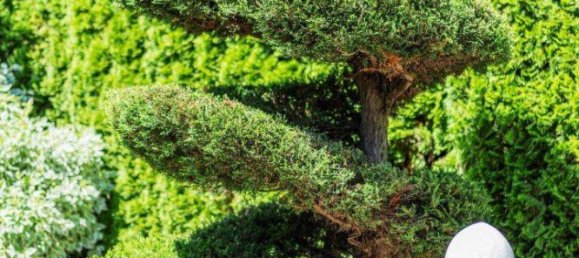 Вилла с 6 комнатами в Клоштернойбург, Австрия № 159306 10