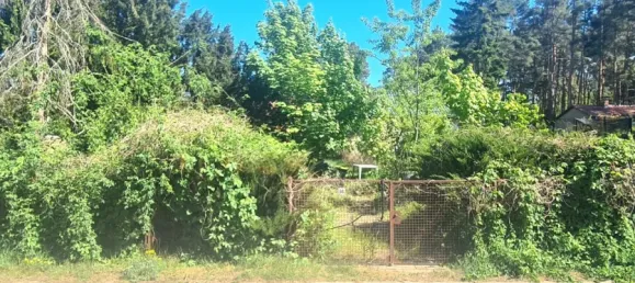 Grundstück in Oberhavel, Germany, Nr. 284706 7