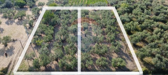 Grundstück in Rocca San Giovanni, Italy, Nr. 359463 6