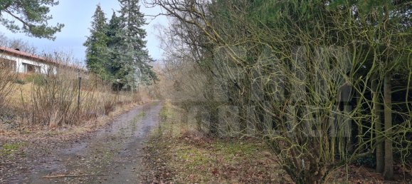 3 bedrooms House in Vogelsbergkreis, Germany No. 85884 10