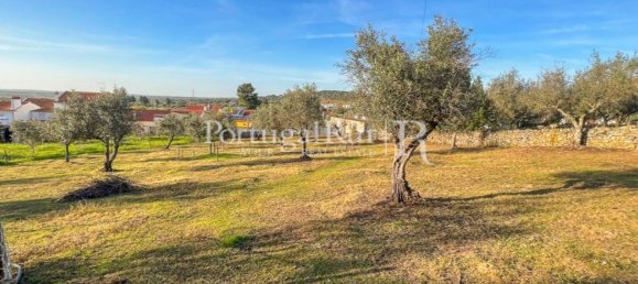 4 غرف نوم منزل في Portalegre, Portugal رقم 146334 20