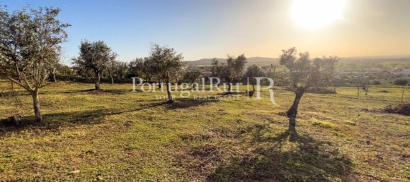 4 غرف نوم منزل في Portalegre, Portugal رقم 146334 19